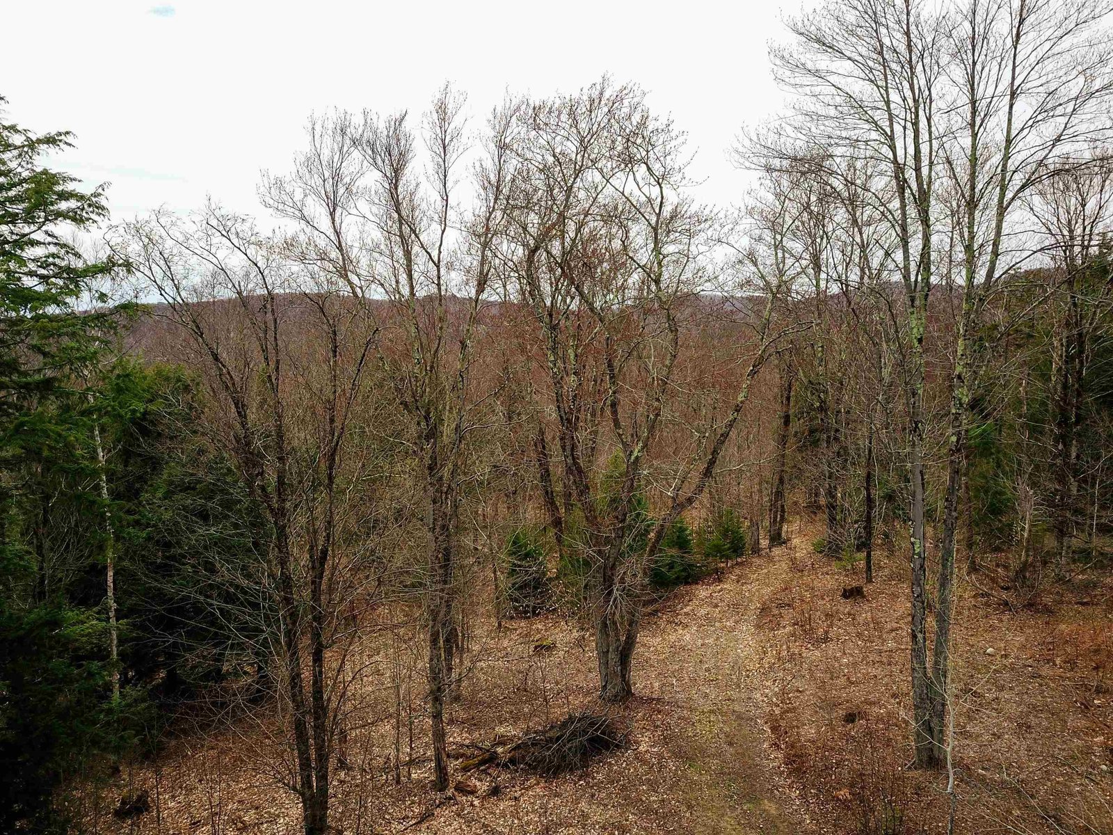 211 Poker Hill Road