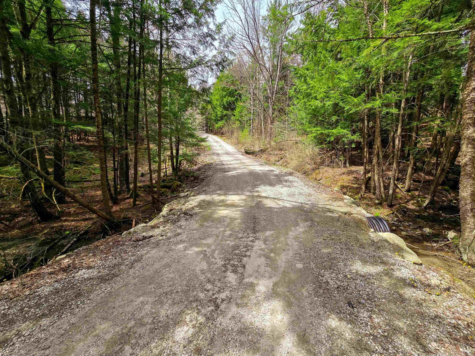 Driveway to the Home