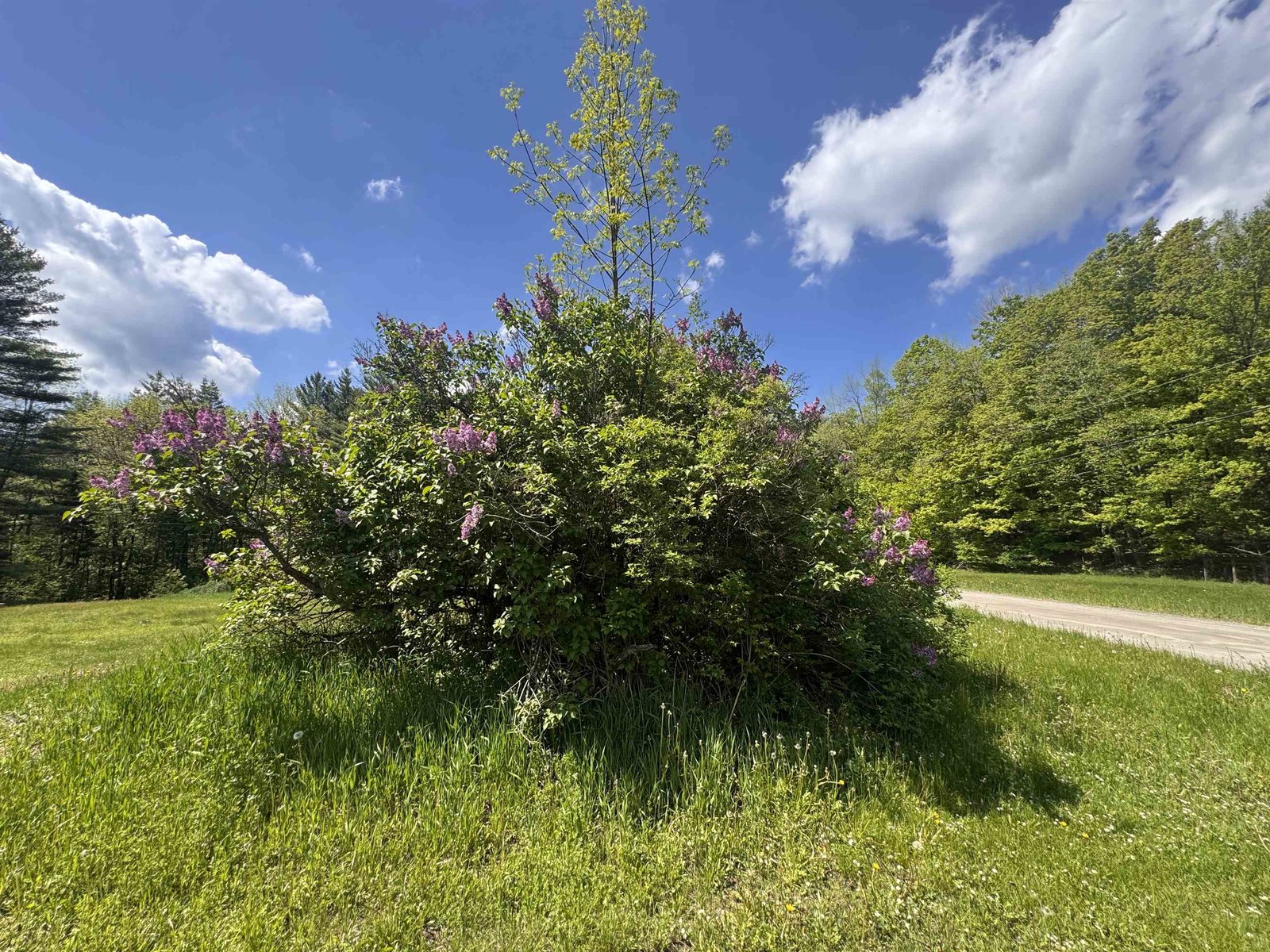 2113 Stony Brook Road