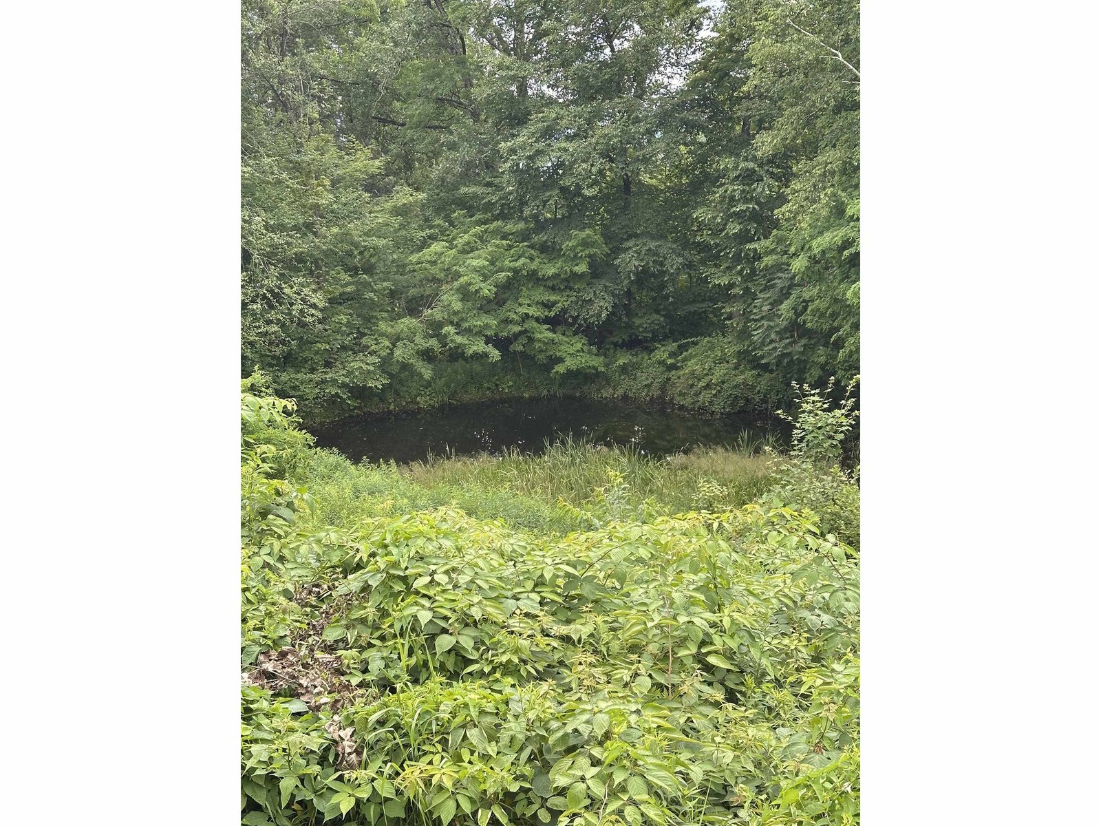 2114 Lilly Hill Road