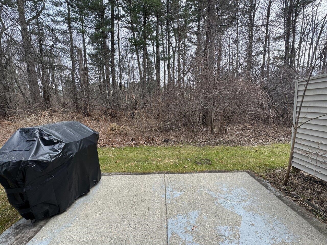 Patio Overlooks Woods