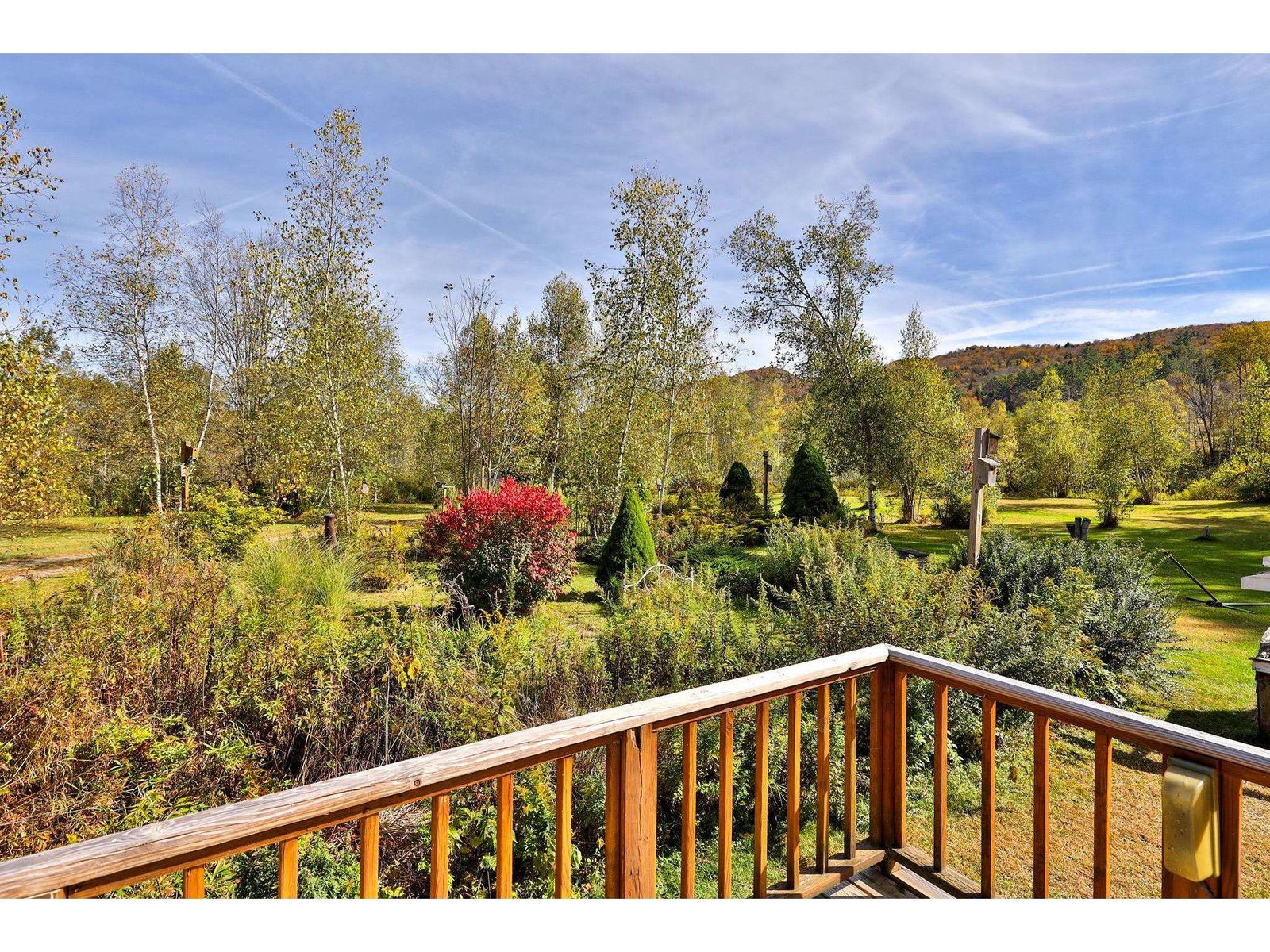 2140 Brandon Mountain Road