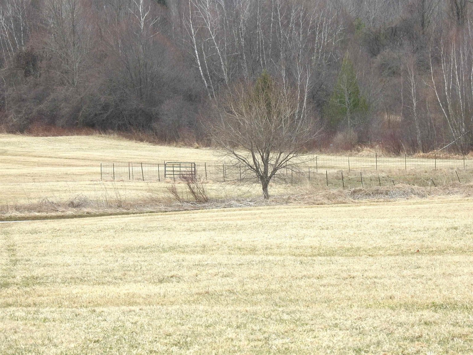 2140 Sheldon Road