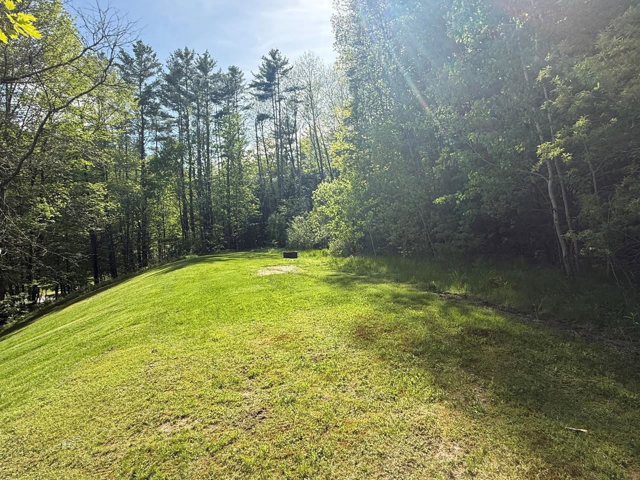 Wooded Lot with Trails