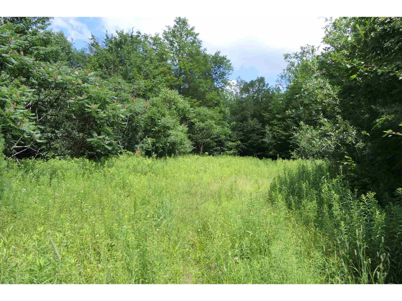 215 French Hill Road