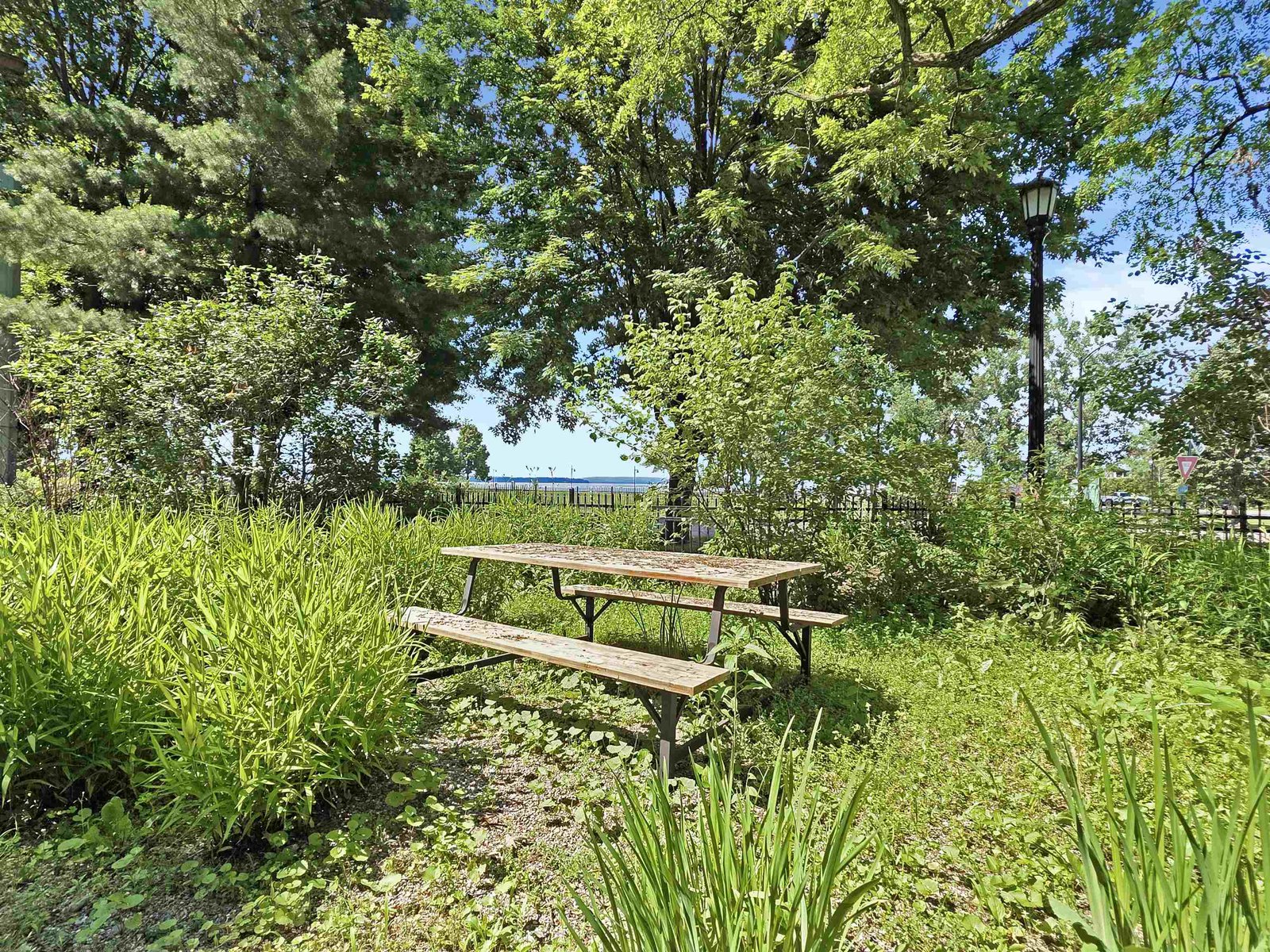 216 Lake Street, Unit # 304