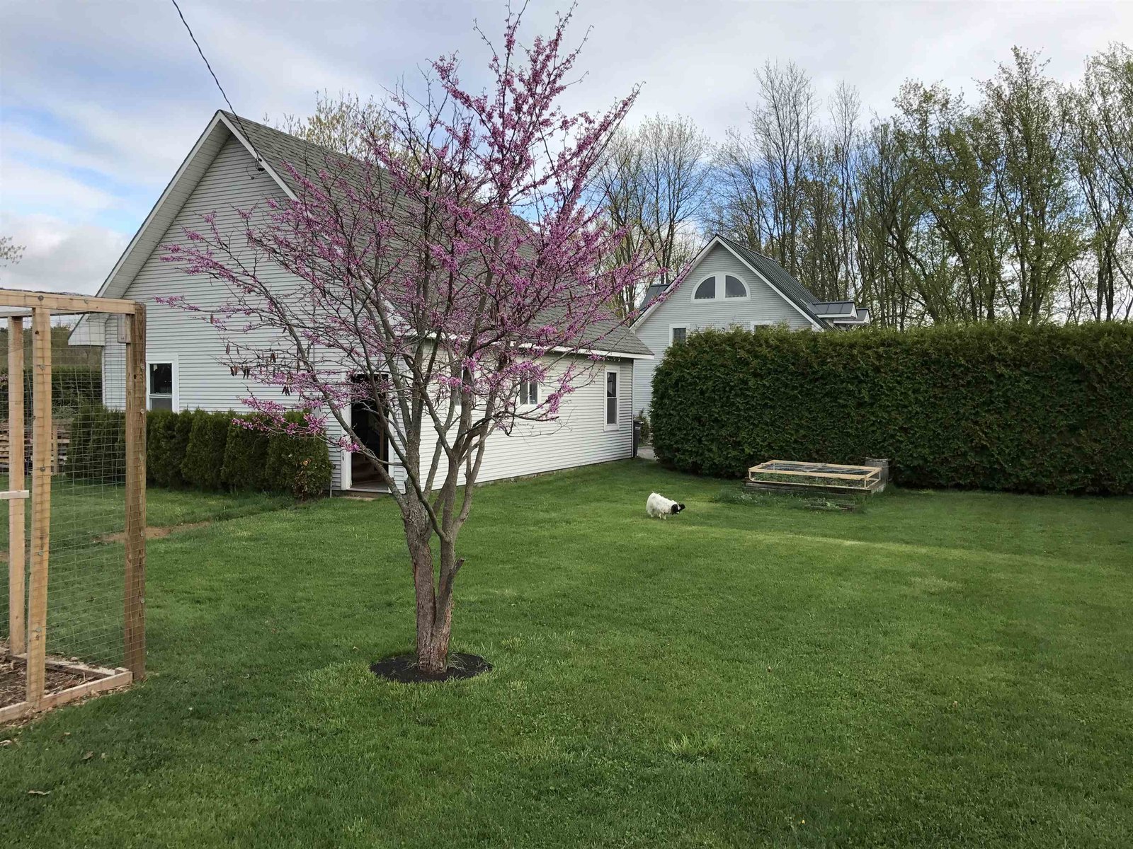 217 Ferry Road