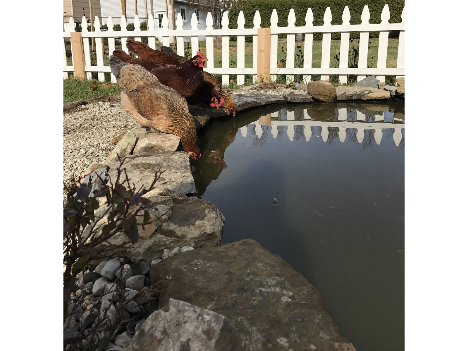 217 Ferry Road