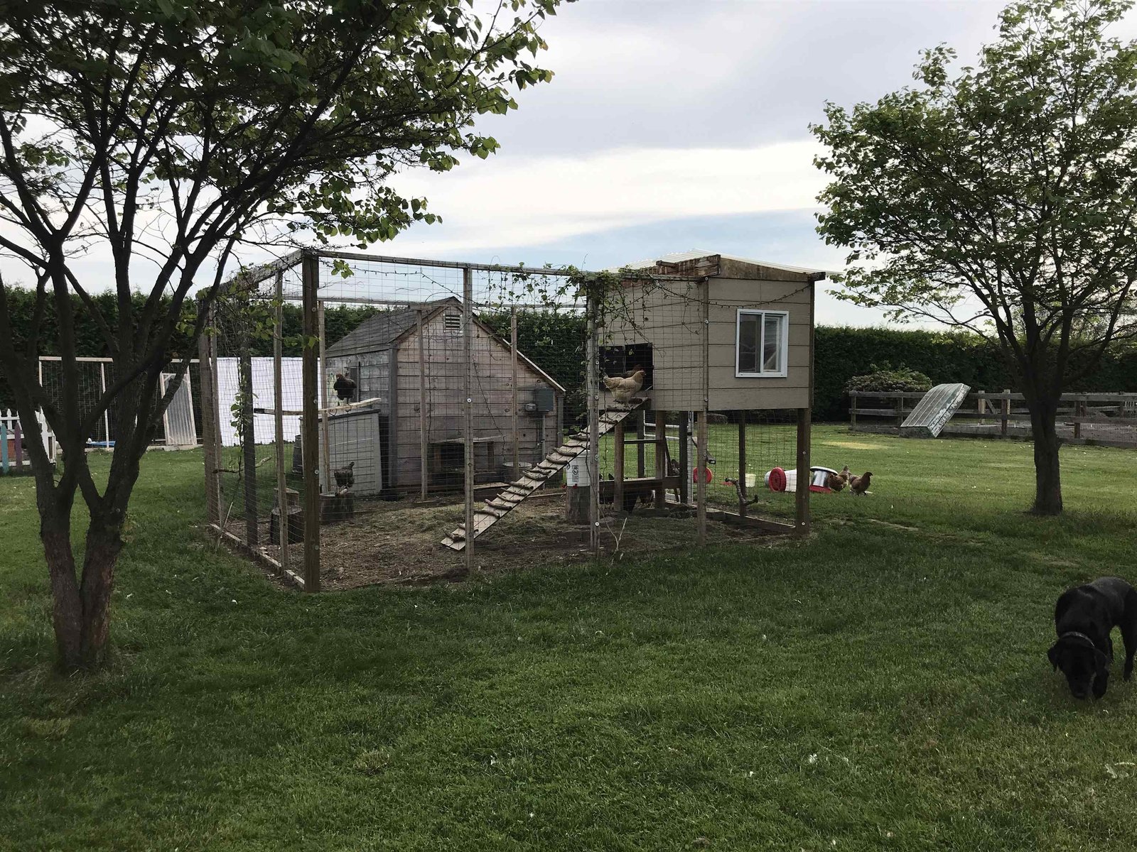 217 Ferry Road