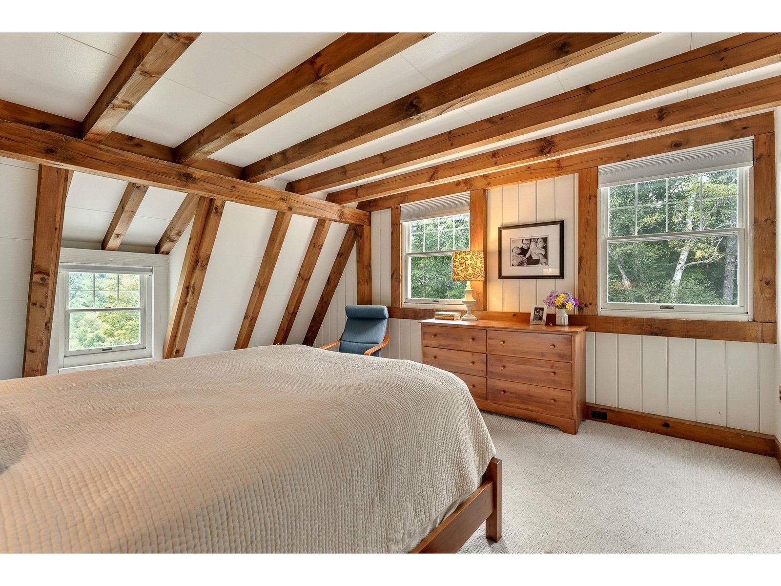 Primary Bedroom South & West windows