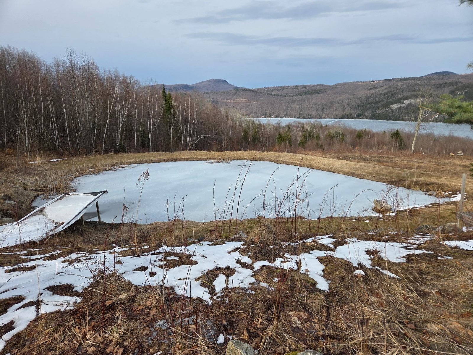 Pond 1