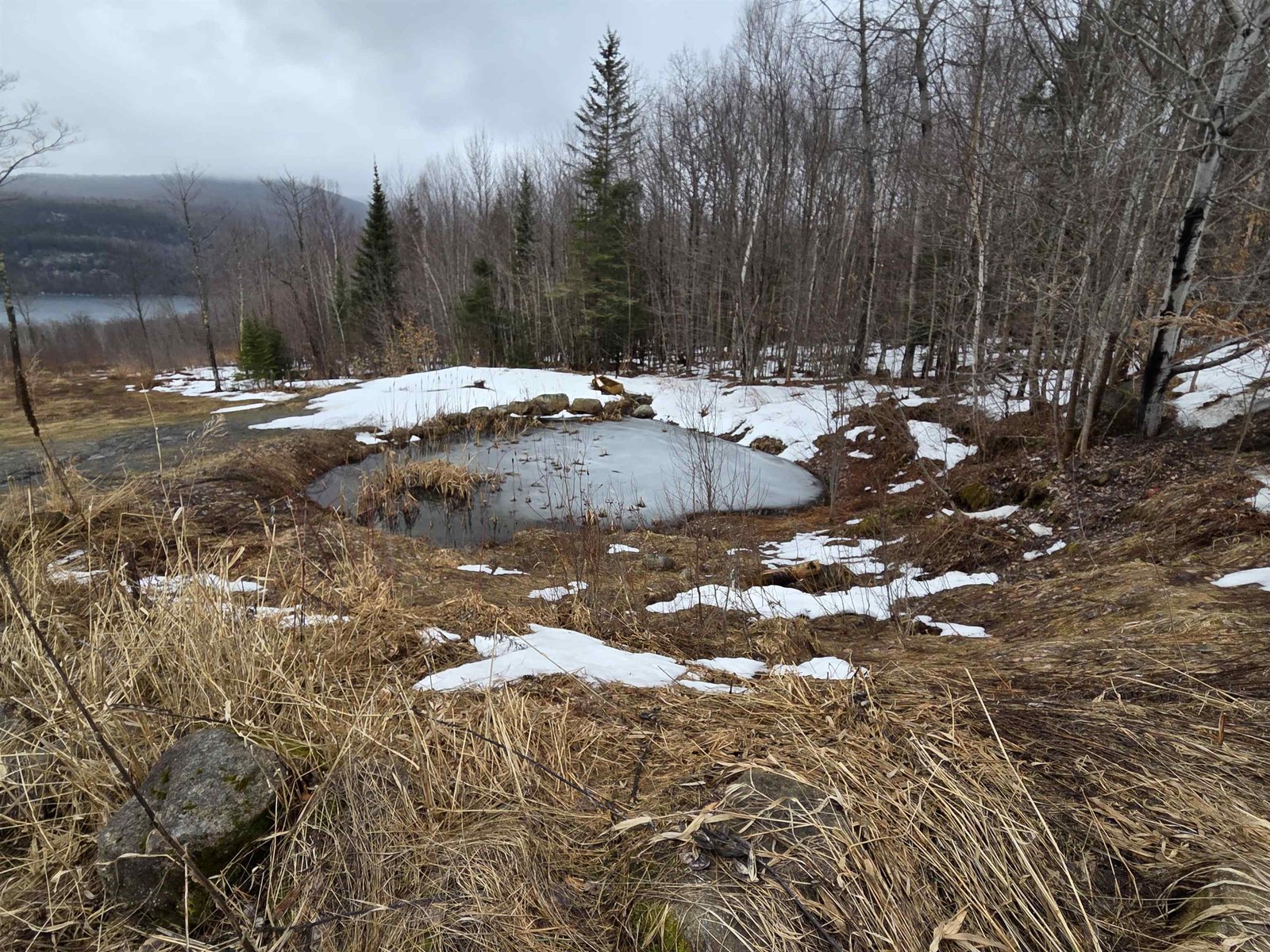 Pond 2