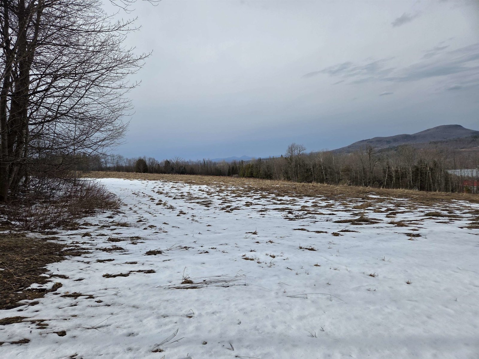 40 Acre Field