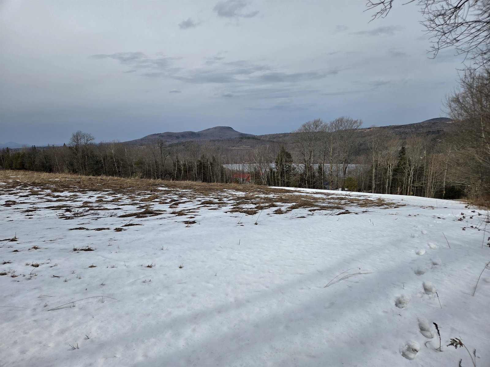 40 Acre Field1