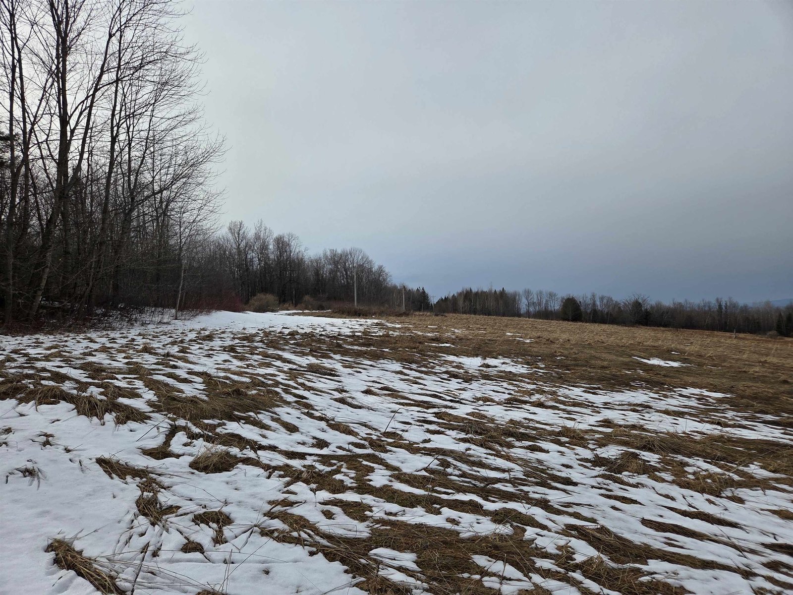 40 Acre Field2