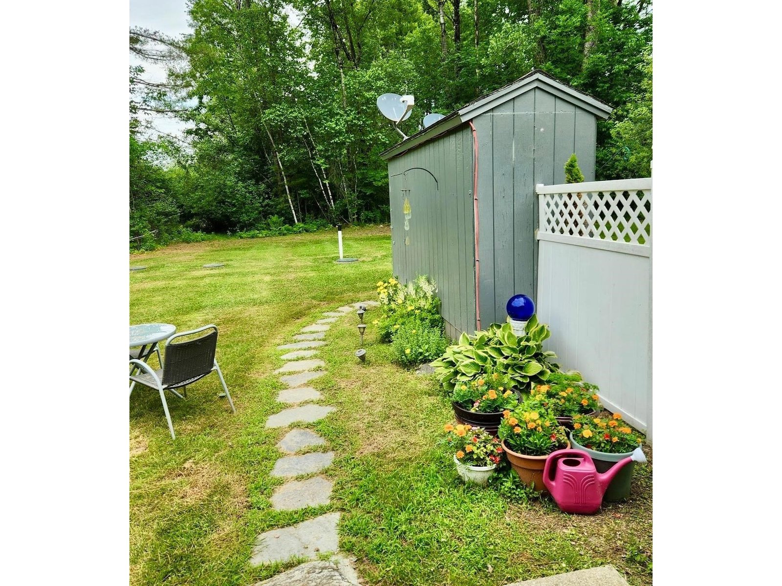 Backyard and 1/2 Shed