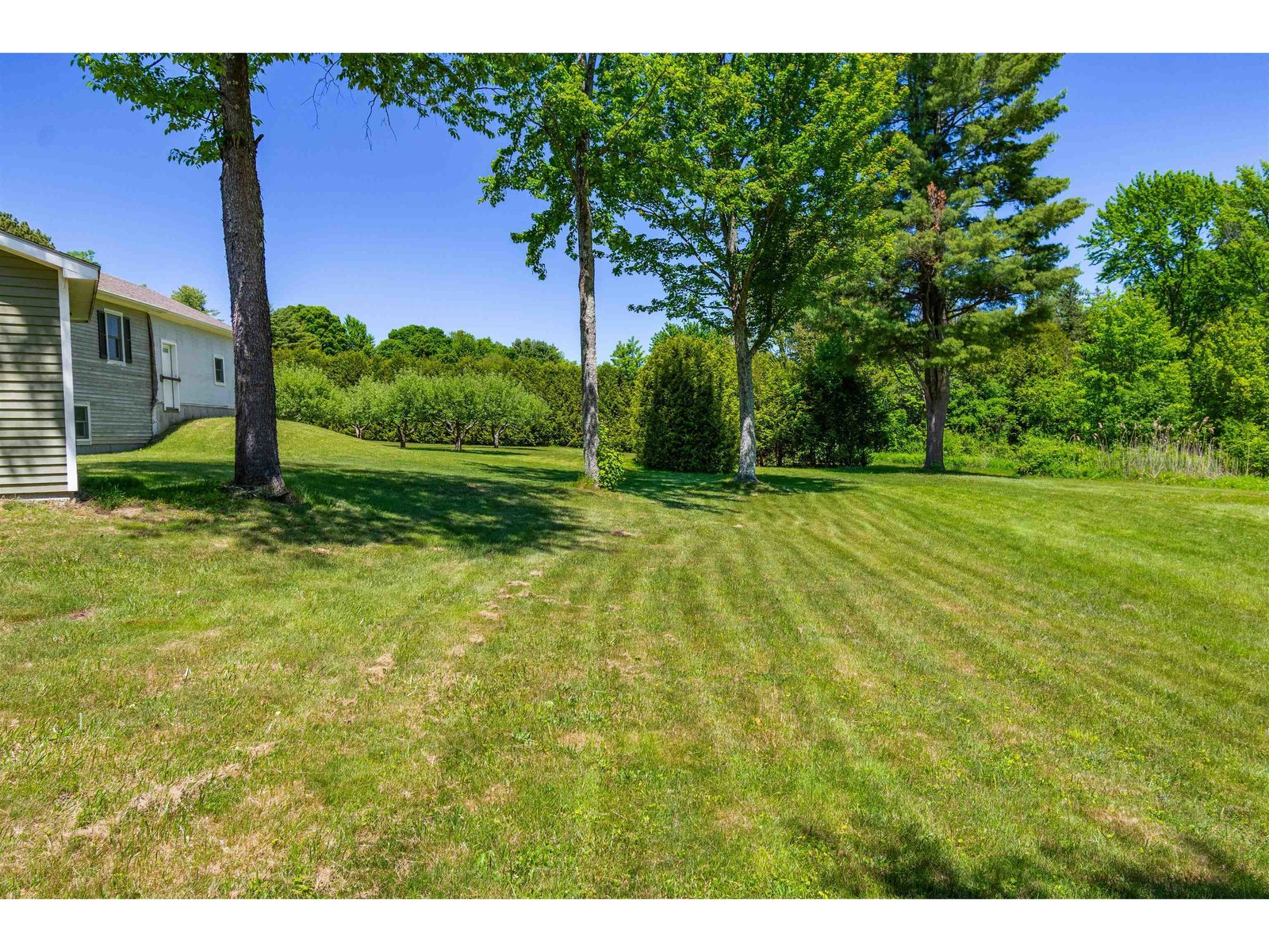 219 Cedar Drive