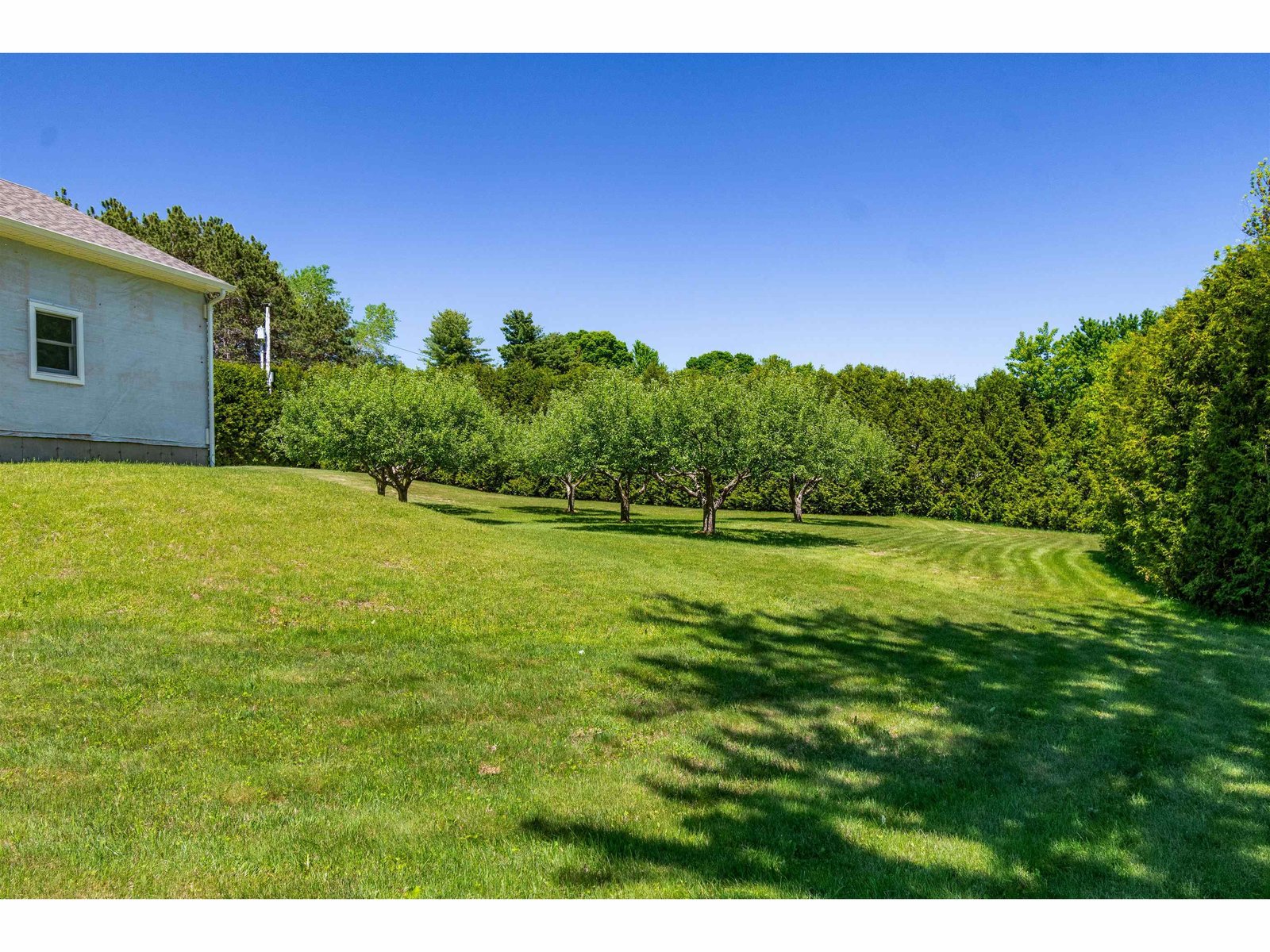 219 Cedar Drive