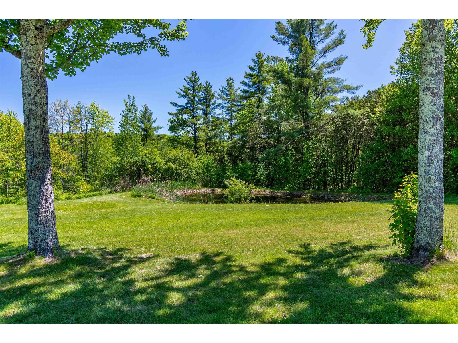 219 Cedar Drive