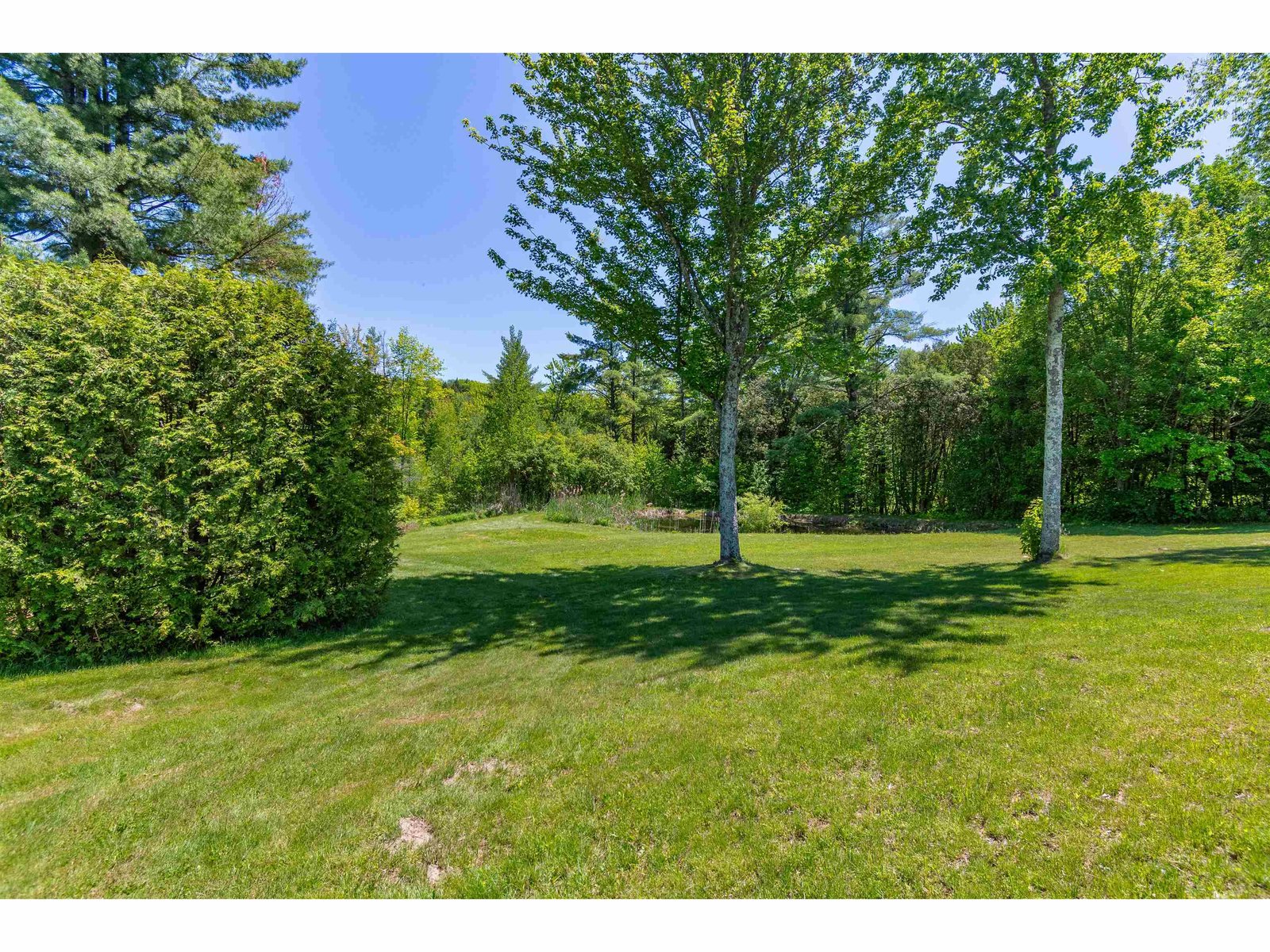 219 Cedar Drive
