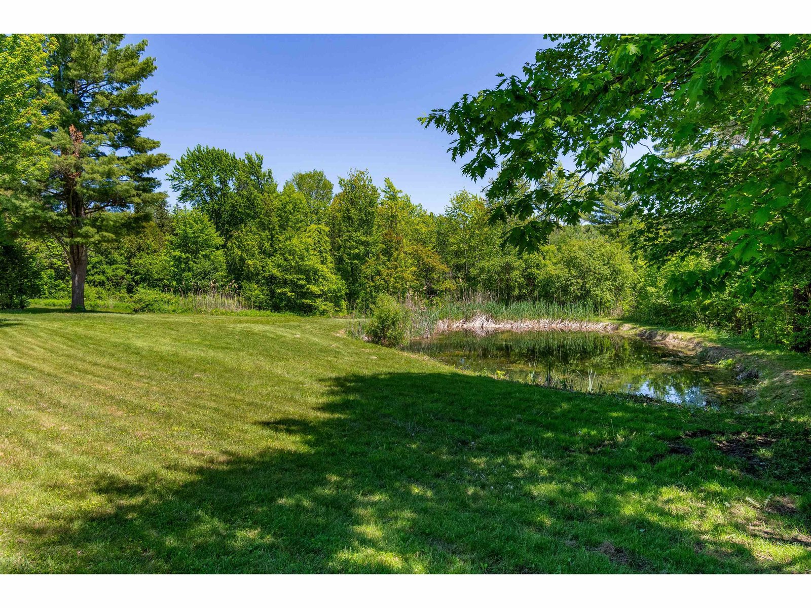219 Cedar Drive