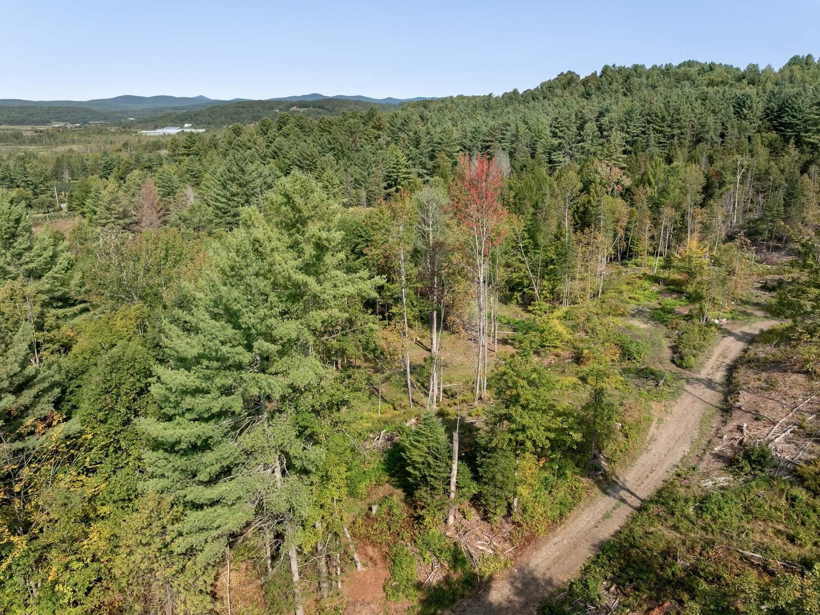 219 Weber Brook Lane