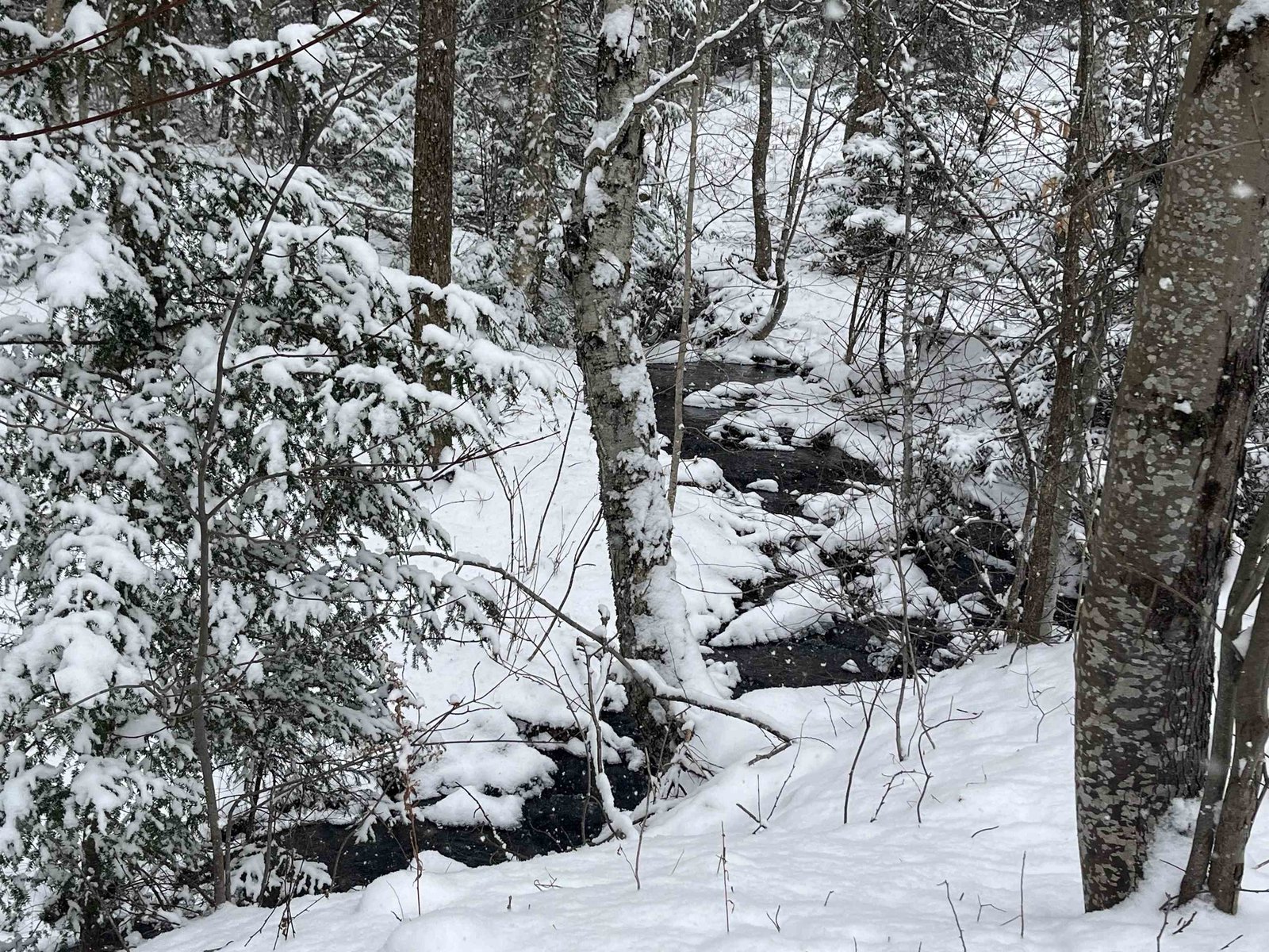 22 Brewster Ridge Road