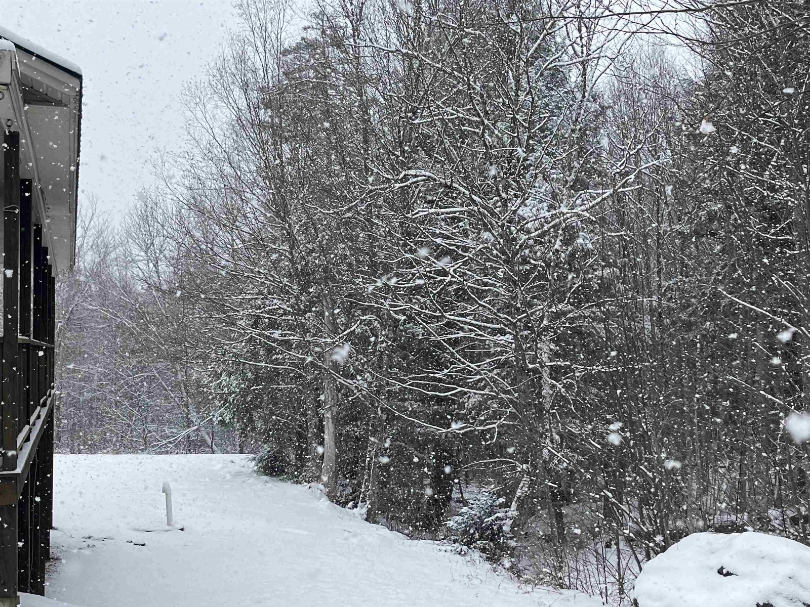 22 Brewster Ridge Road