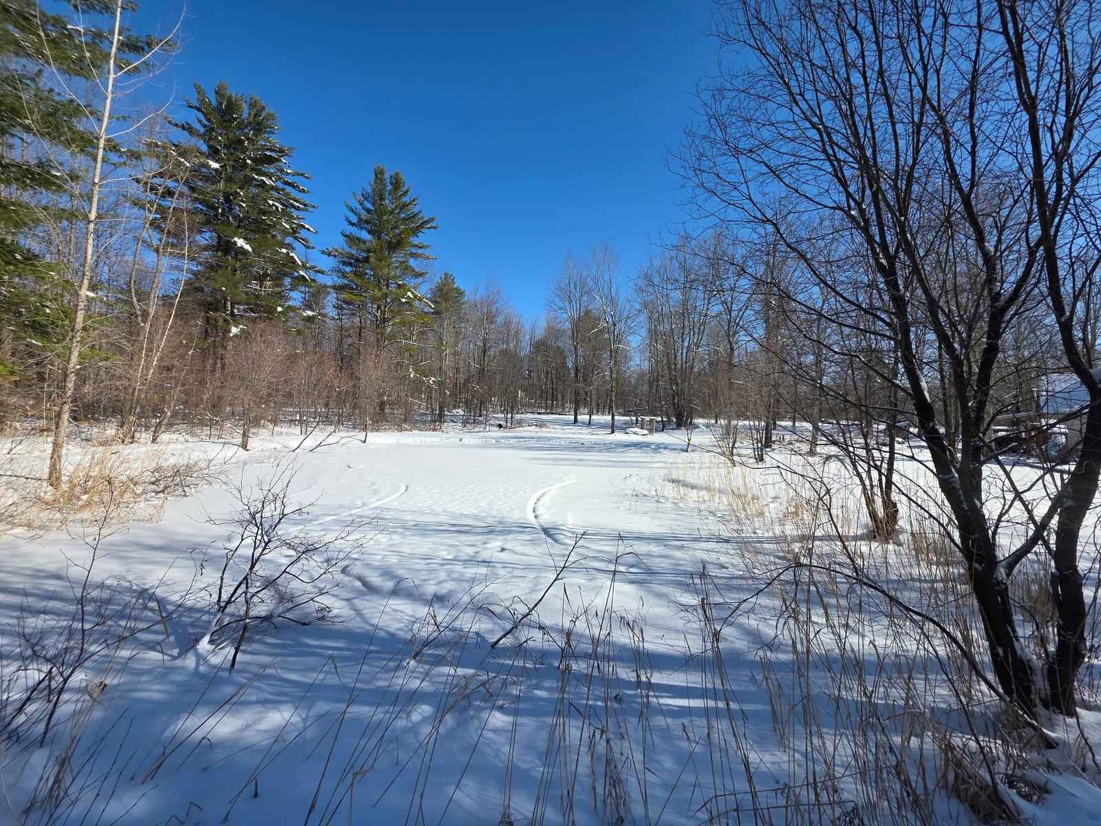 220 Sam Webb Road