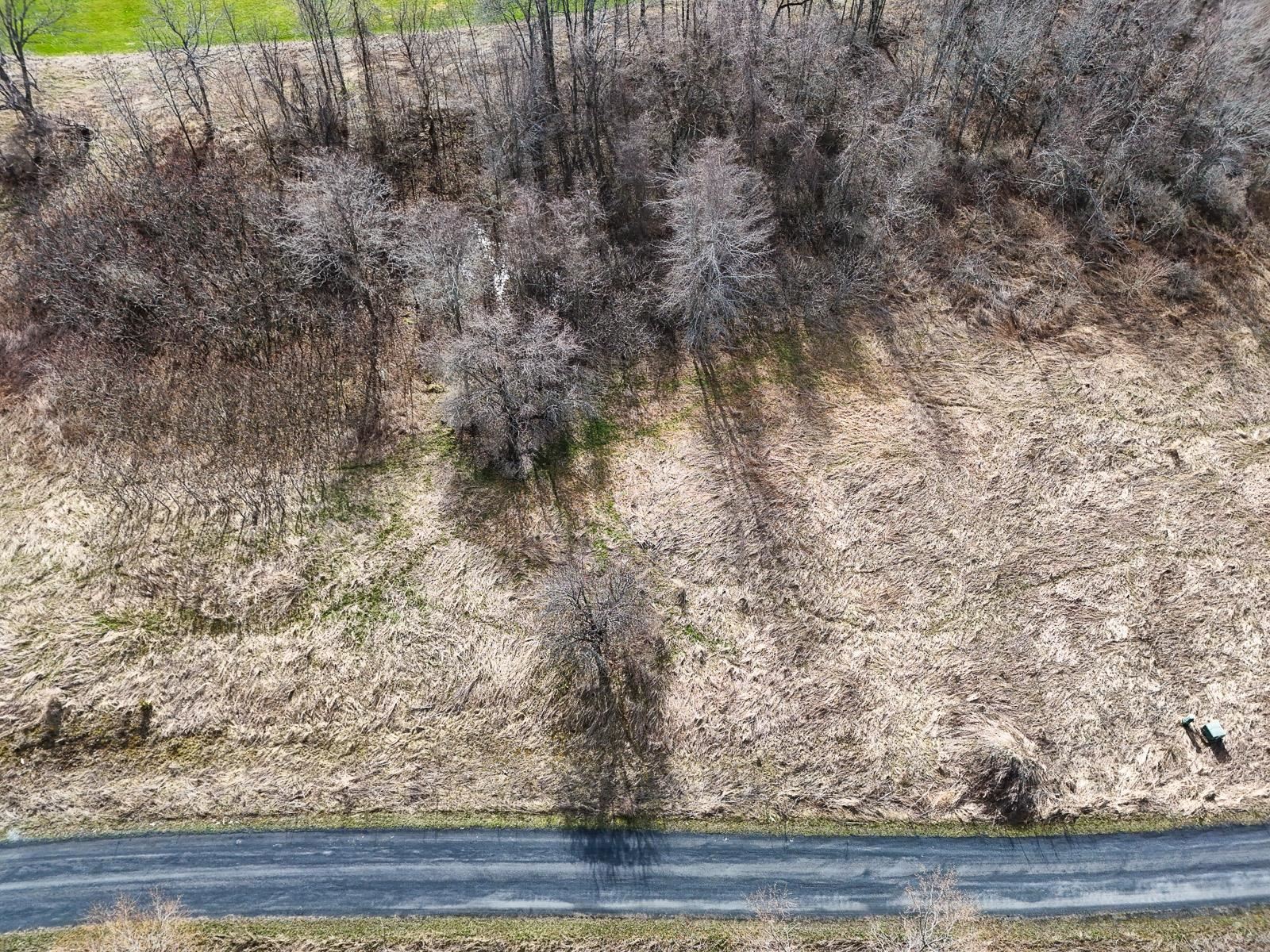 220 Terrapin Lane