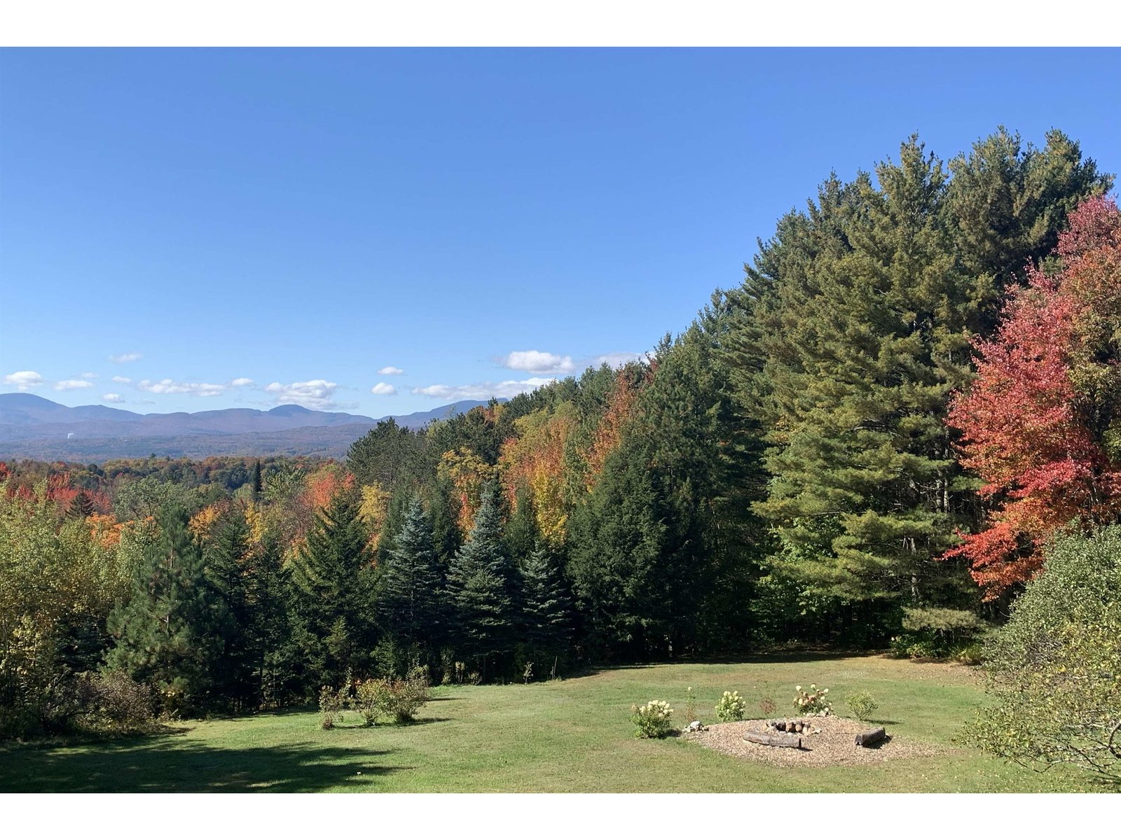 Even the forest shines on this property