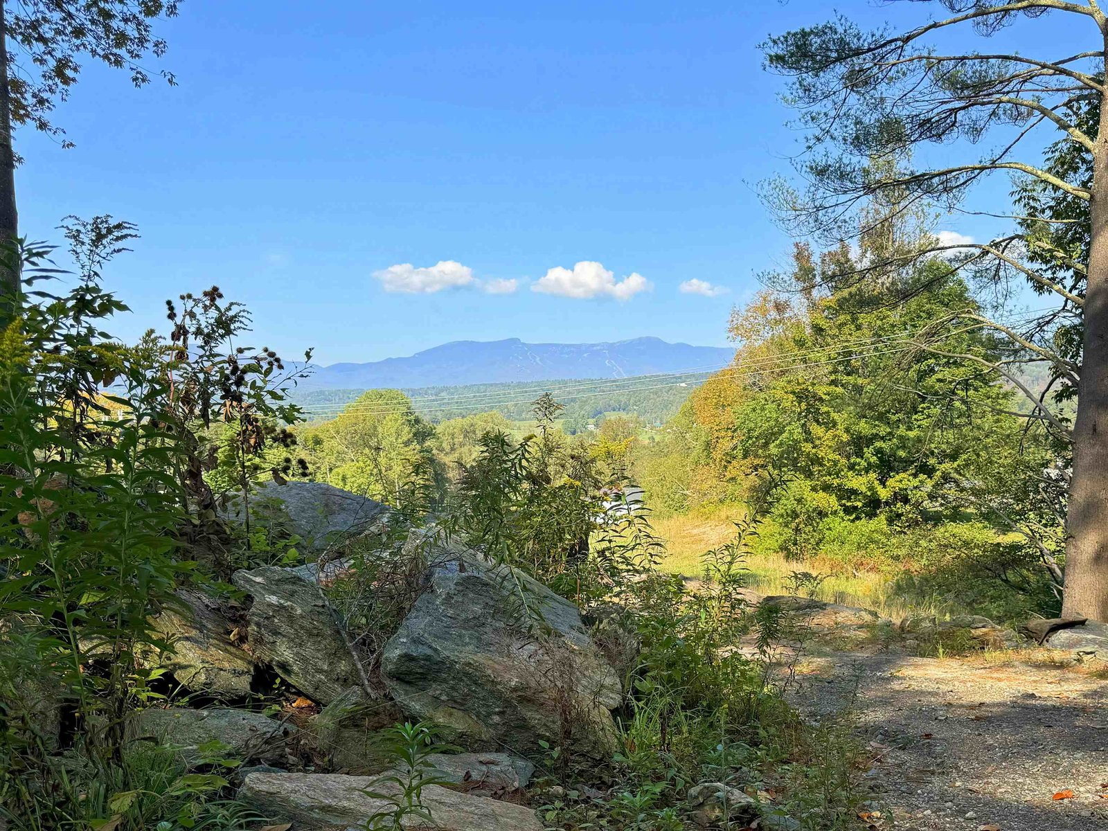 222 Brookside Drive, Unit 4