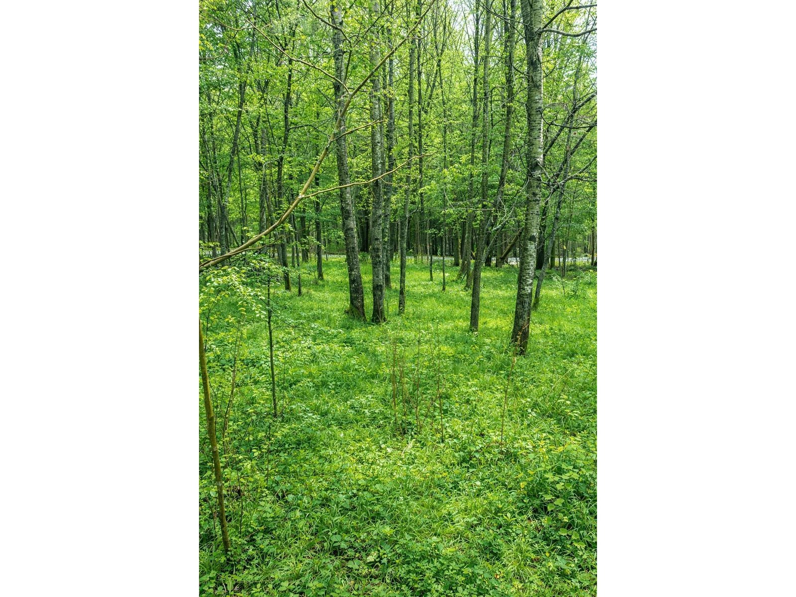 Lot photo