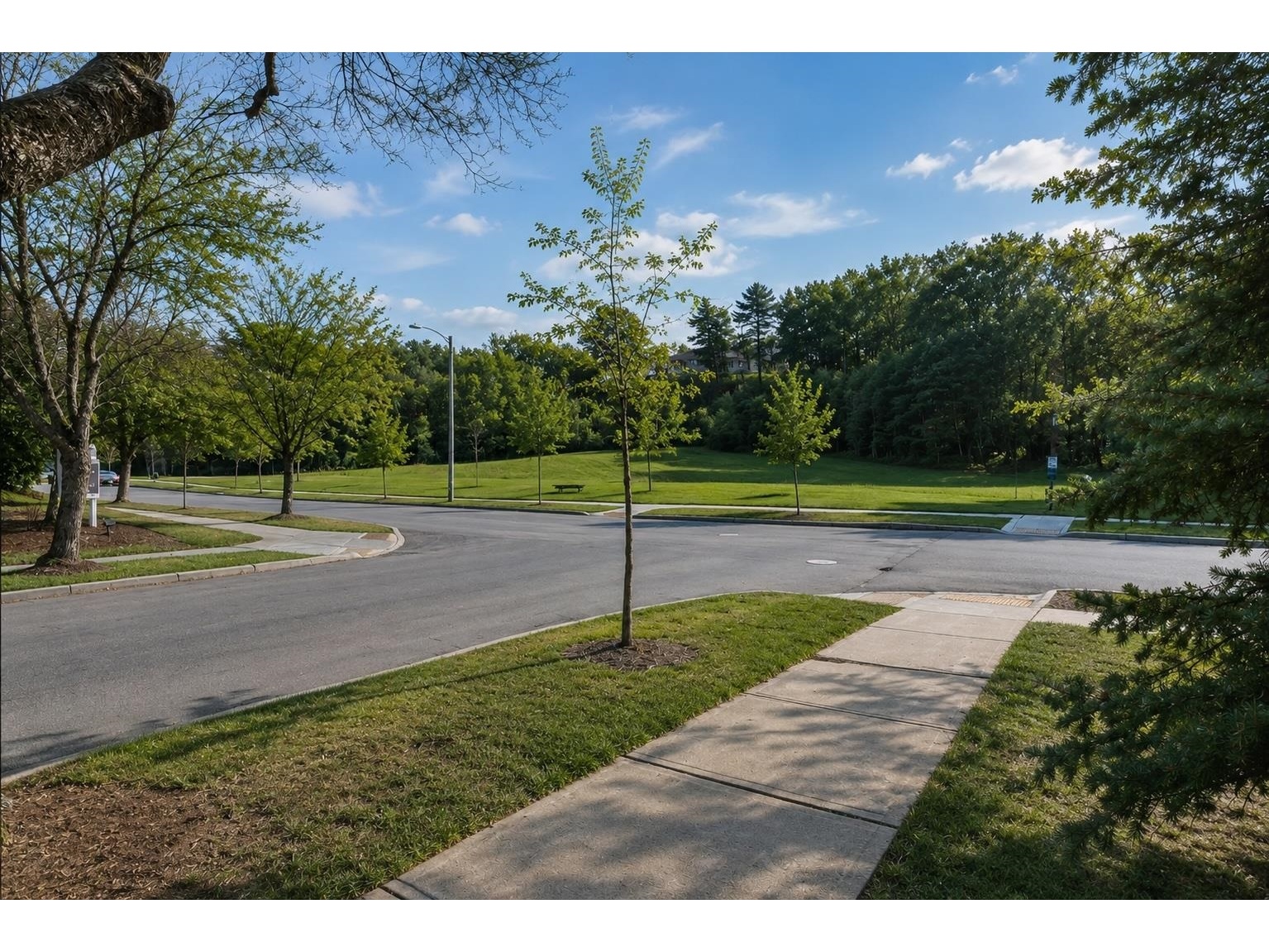 223 Hildred Drive