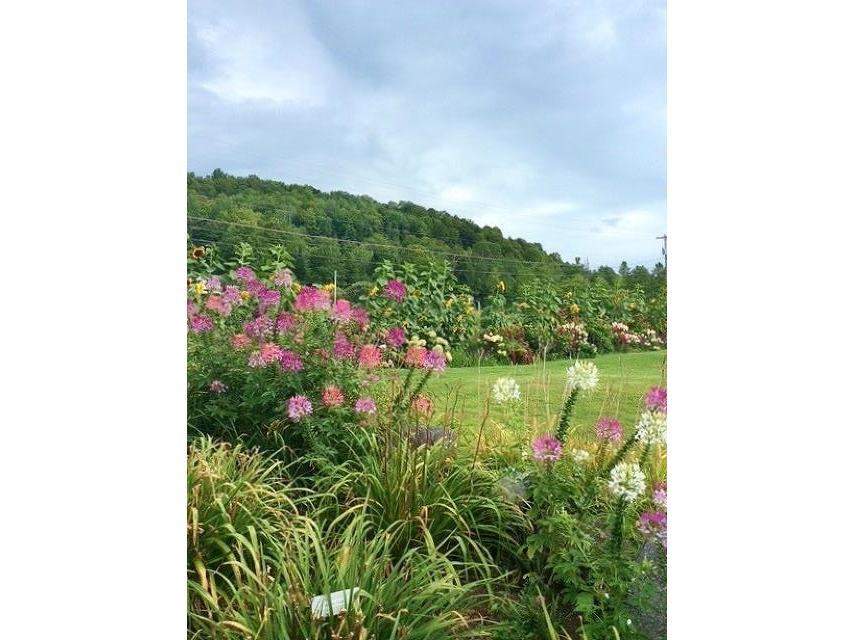 2263 US Route 2