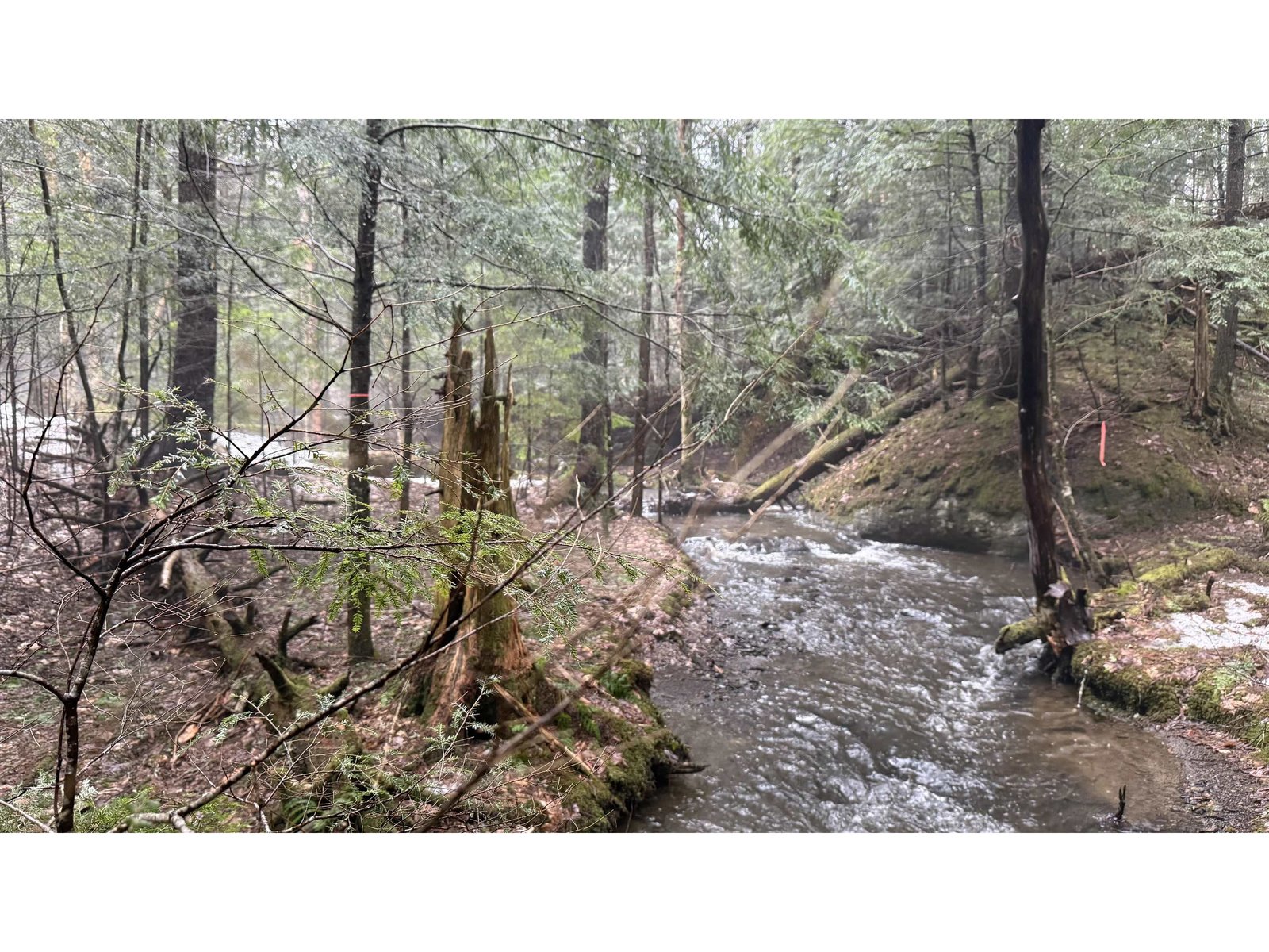 the brook 4/14/26