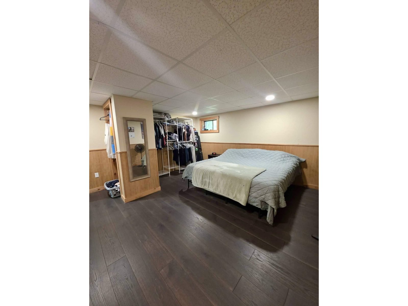 Lower Level Bedroom