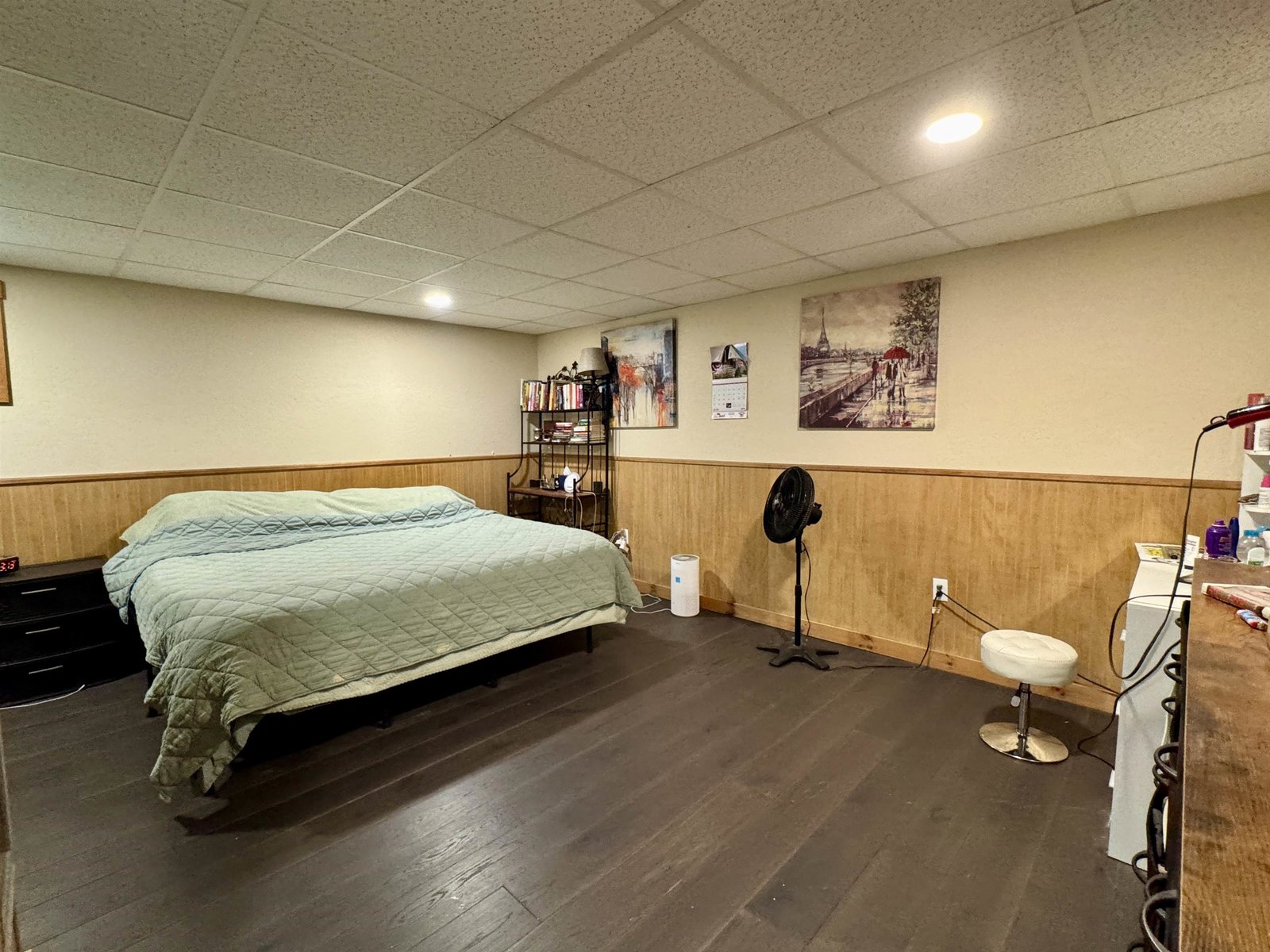 Lower Level Bedroom