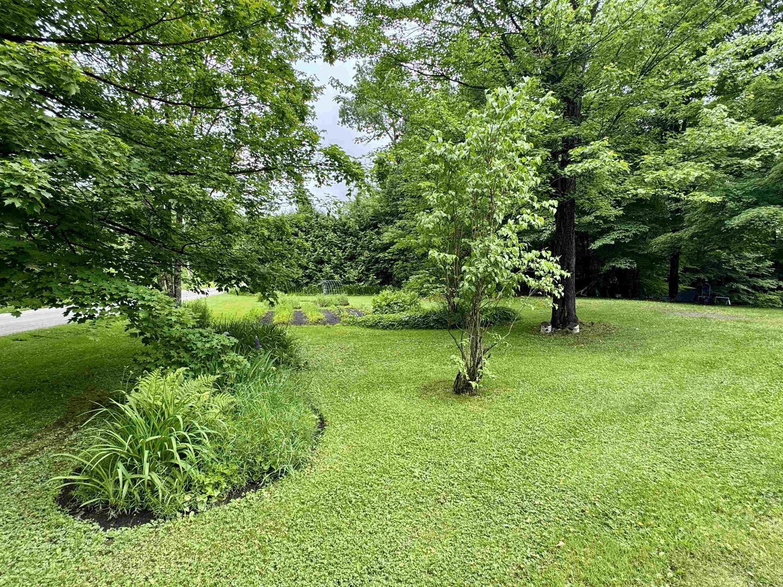 Lawn