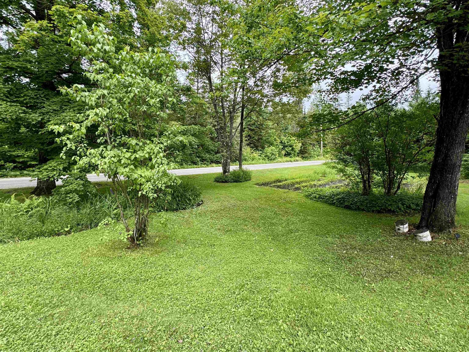 Lawn