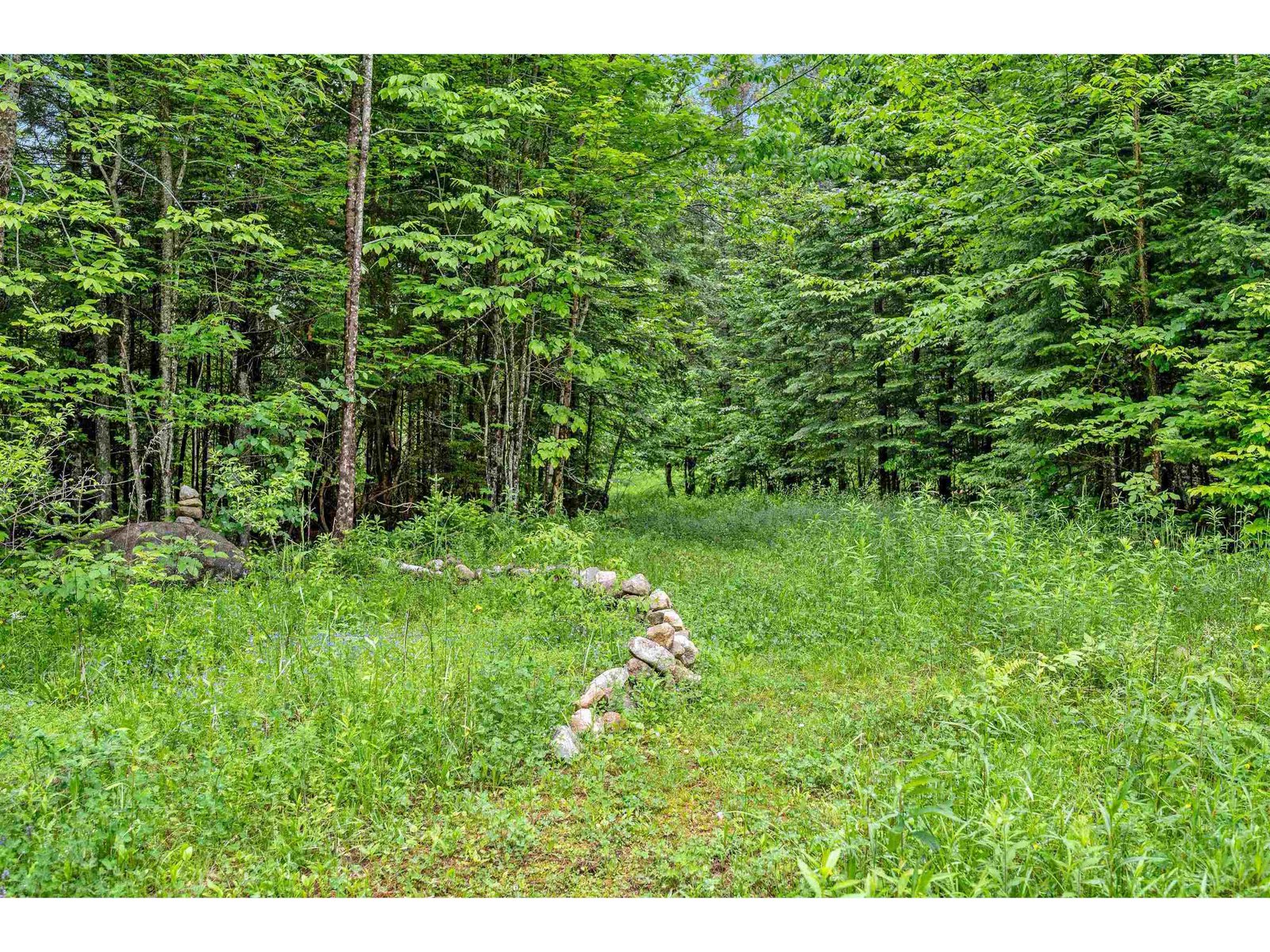 228 Guyette Road