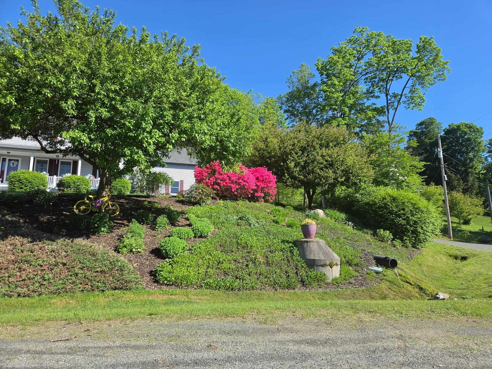 1st impression:Pretty,Bright, Lush Landscaping