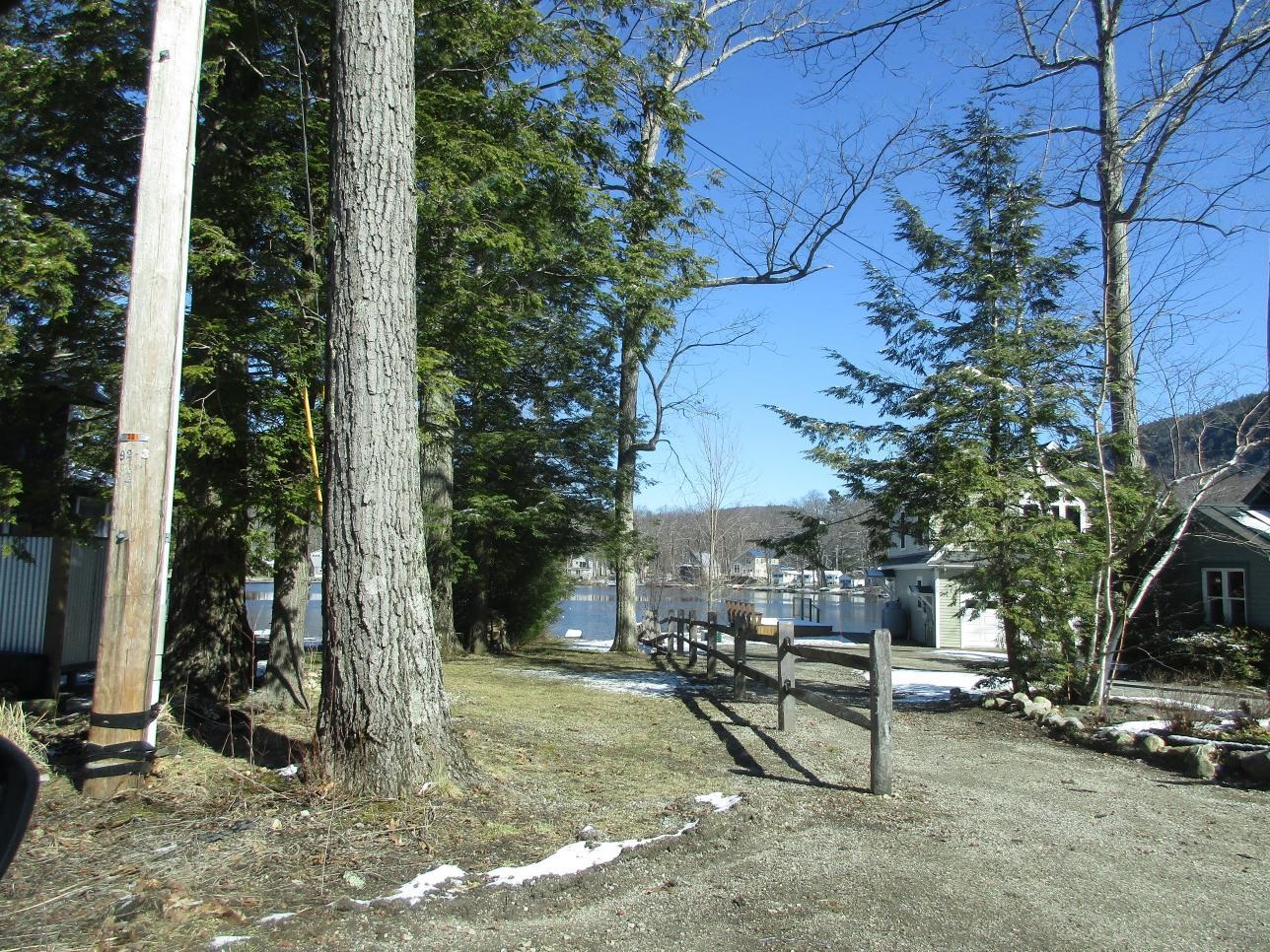 229 Pine Lane