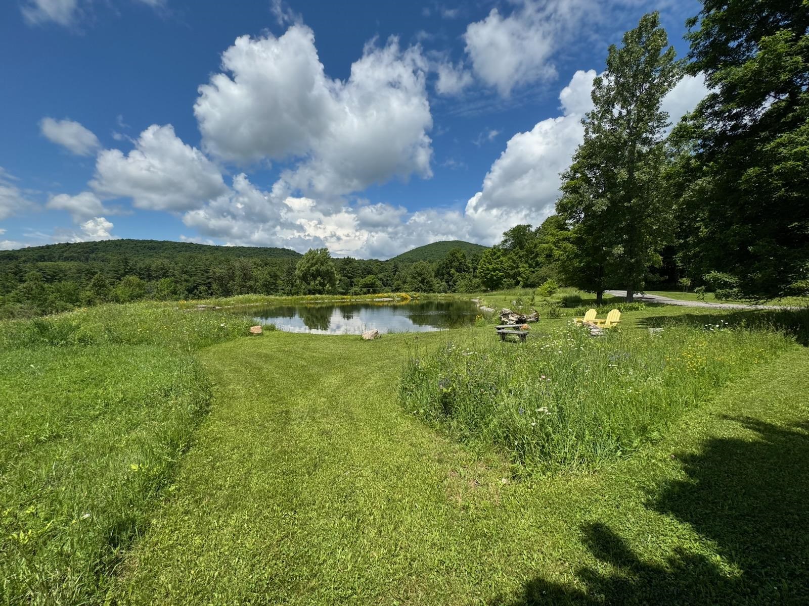 229 Piney Woods Road