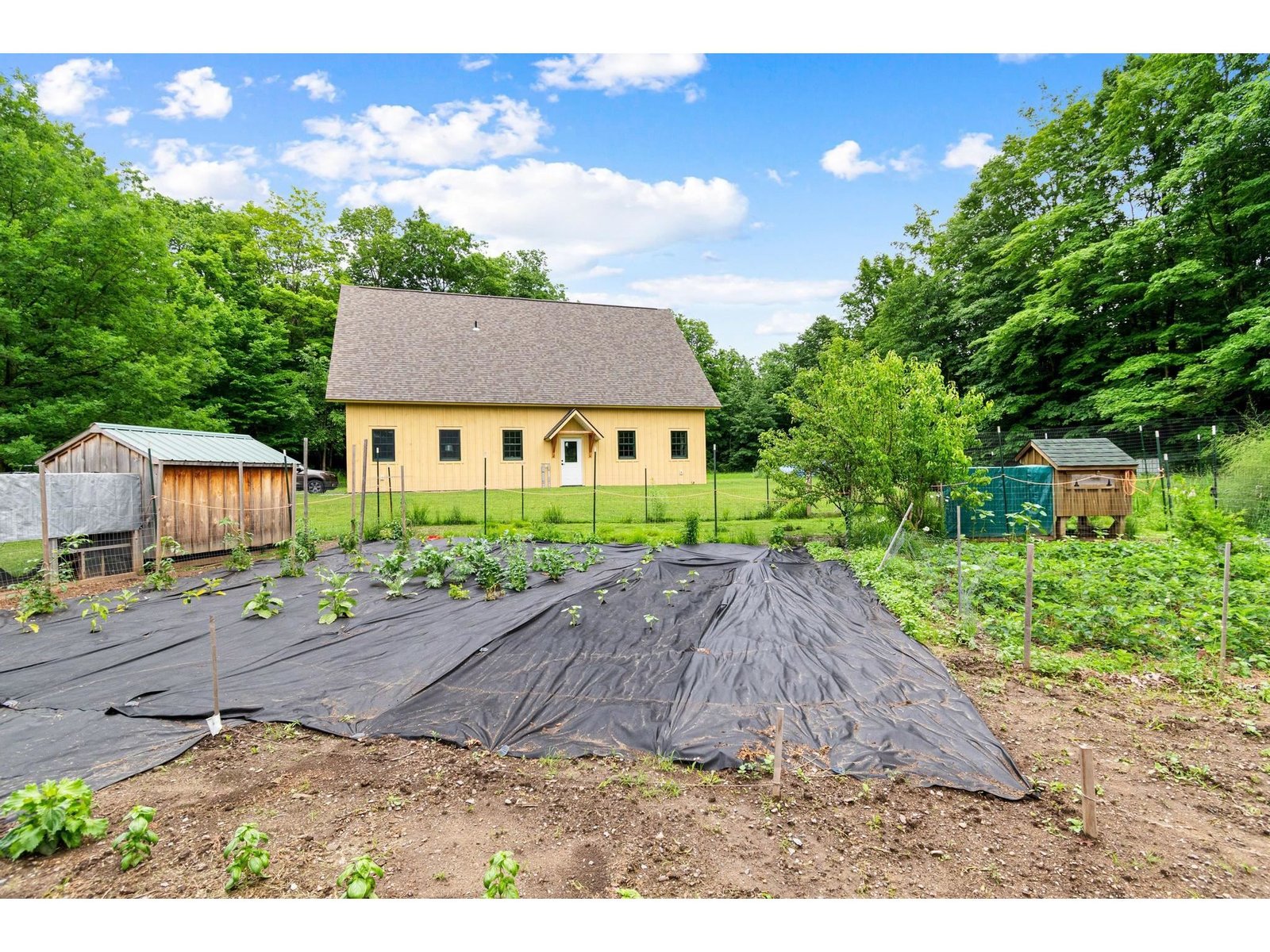 229 Piney Woods Road