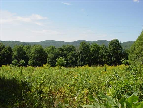 229 Poker Hill Rd
