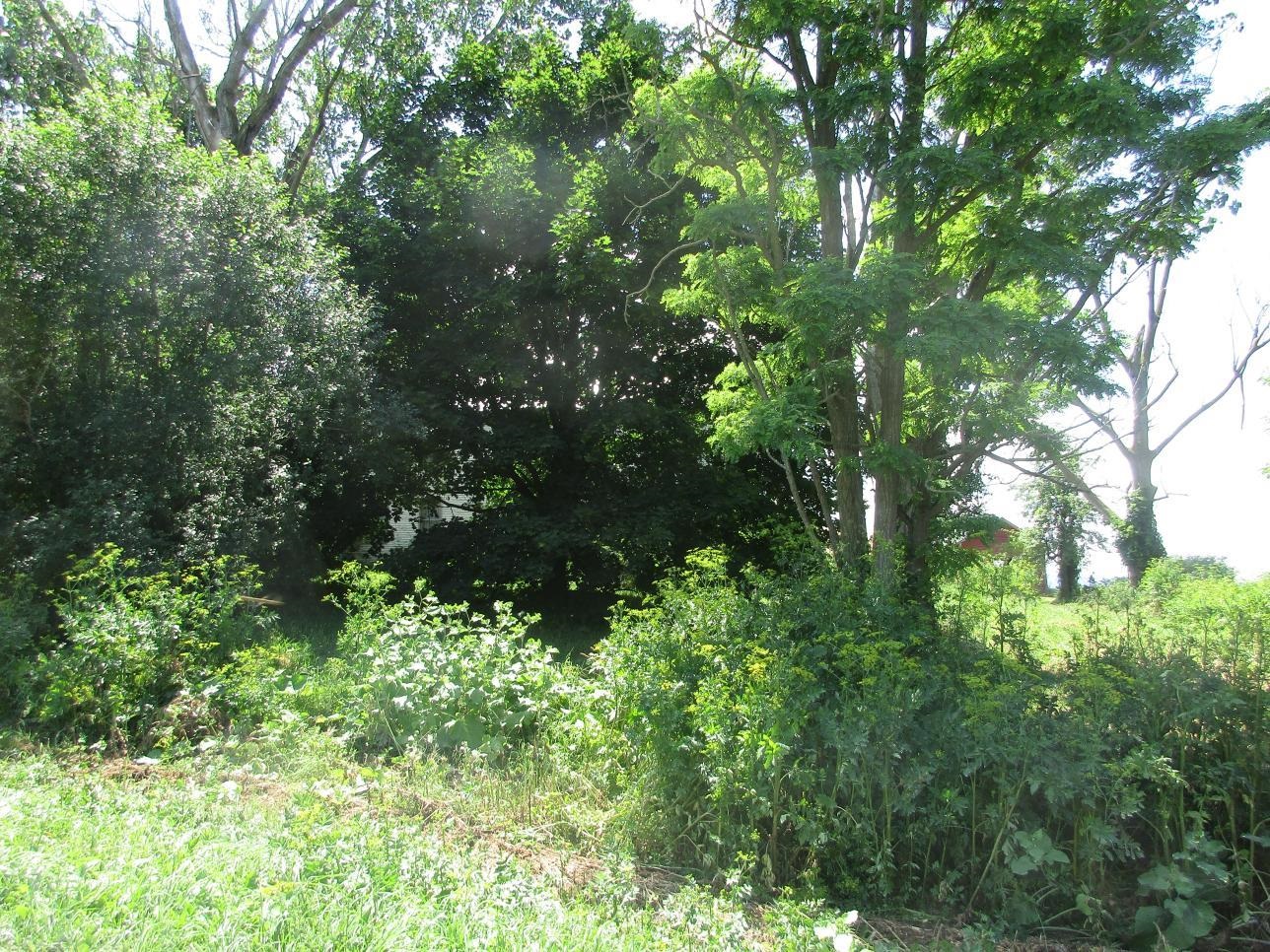 2290 Hemenway Hill Road
