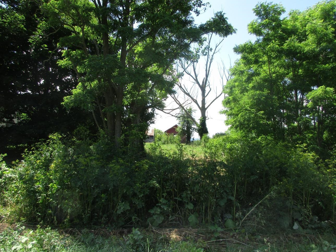 2290 Hemenway Hill Road
