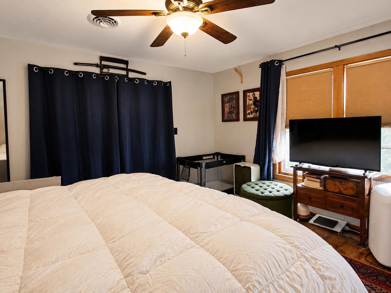 Ceiling Fan & Double Closet