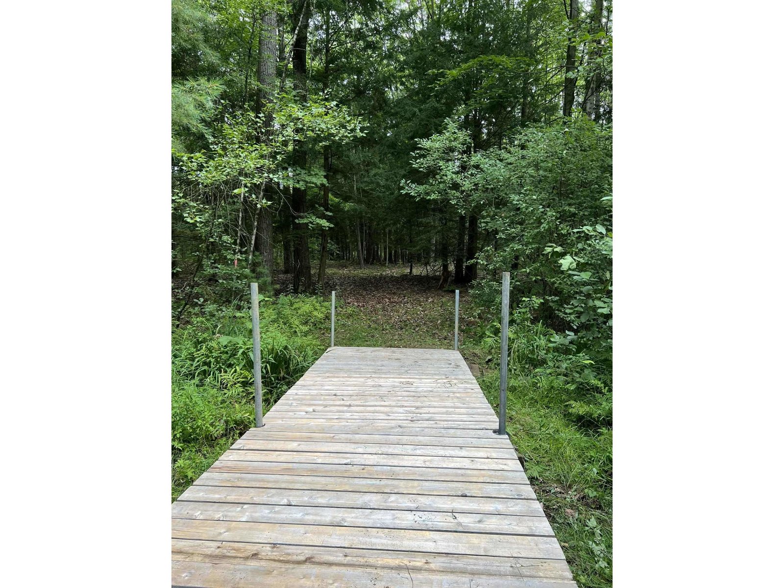Peaceful Walking Path to the Lamoille River Access